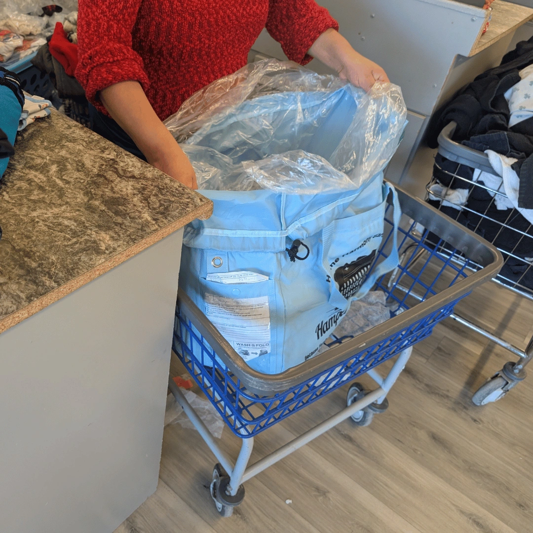 Professional laundry attendant folding jeans and clothes for a closet-ready delivery service.